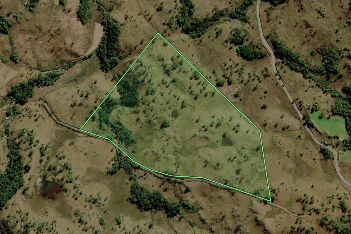 Imagem de satélite do imóvel rural em São Joaquim (SC), com o contorno declarado no CAR desenhado por cima.