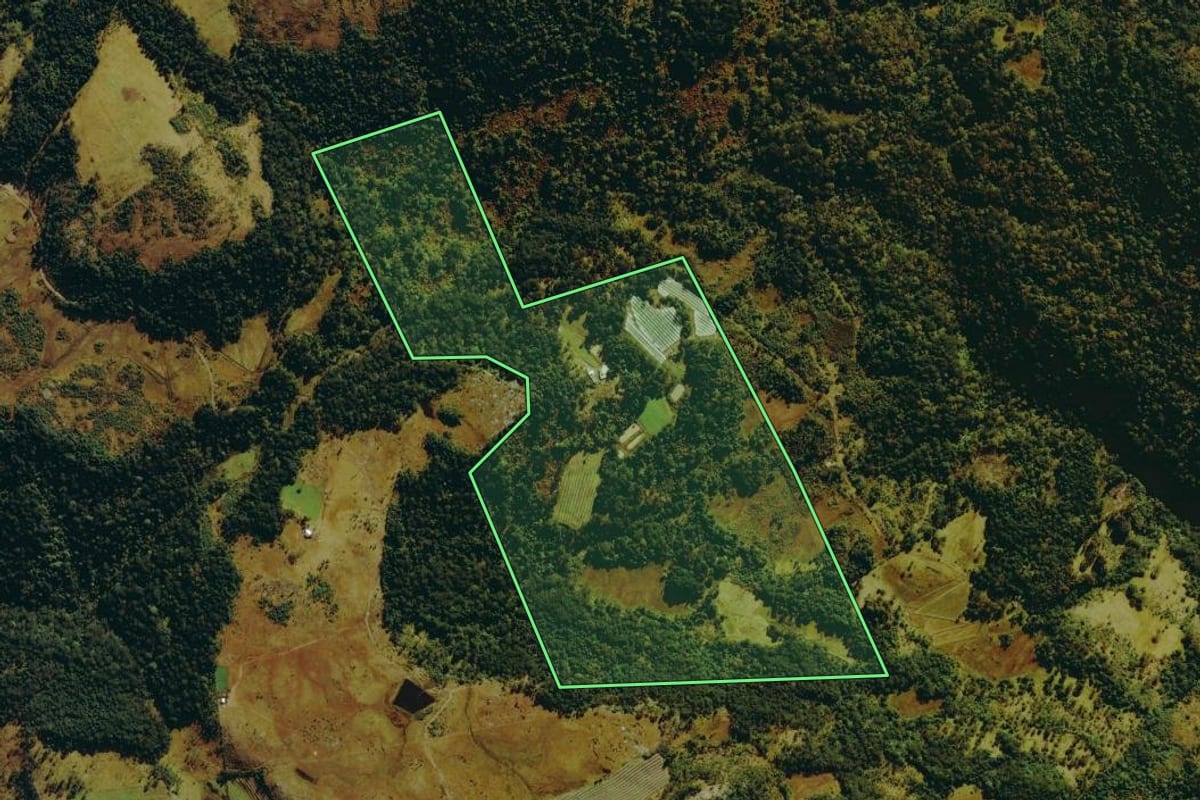 Imagem de satélite do imóvel rural em São Joaquim (SC), com o contorno declarado no CAR desenhado por cima.