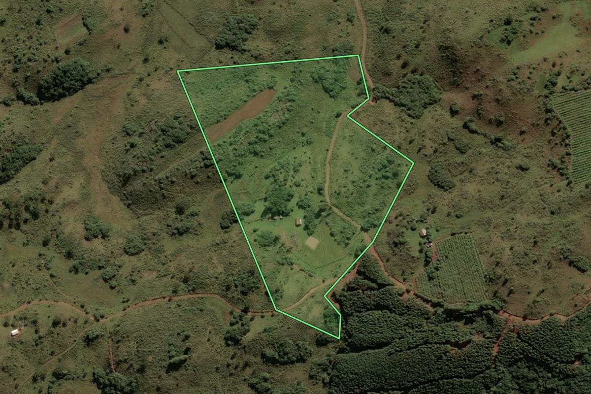 Imagem de satélite do imóvel rural em São Joaquim (SC), com o contorno declarado no CAR desenhado por cima.