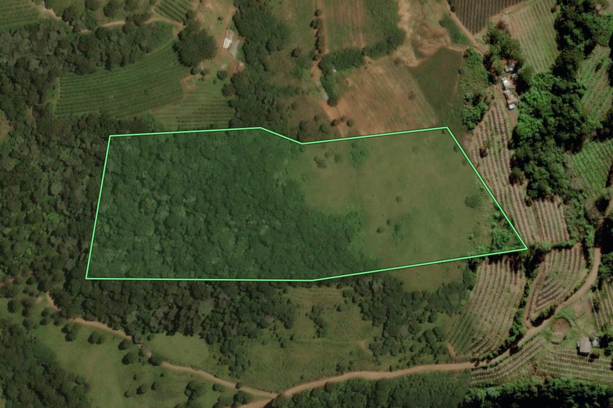 Imagem de satélite do imóvel rural em São Joaquim (SC), com o contorno declarado no CAR desenhado por cima.