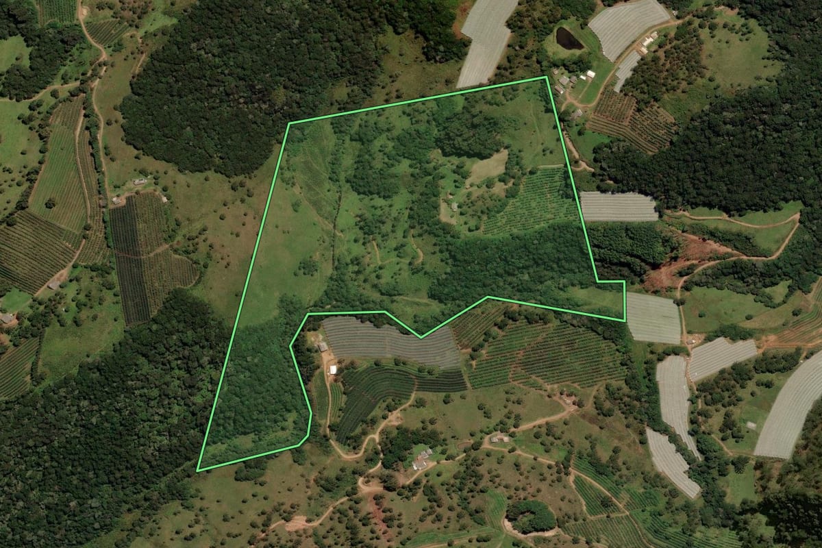 Imagem de satélite do imóvel rural em São Joaquim (SC), com o contorno declarado no CAR desenhado por cima.
