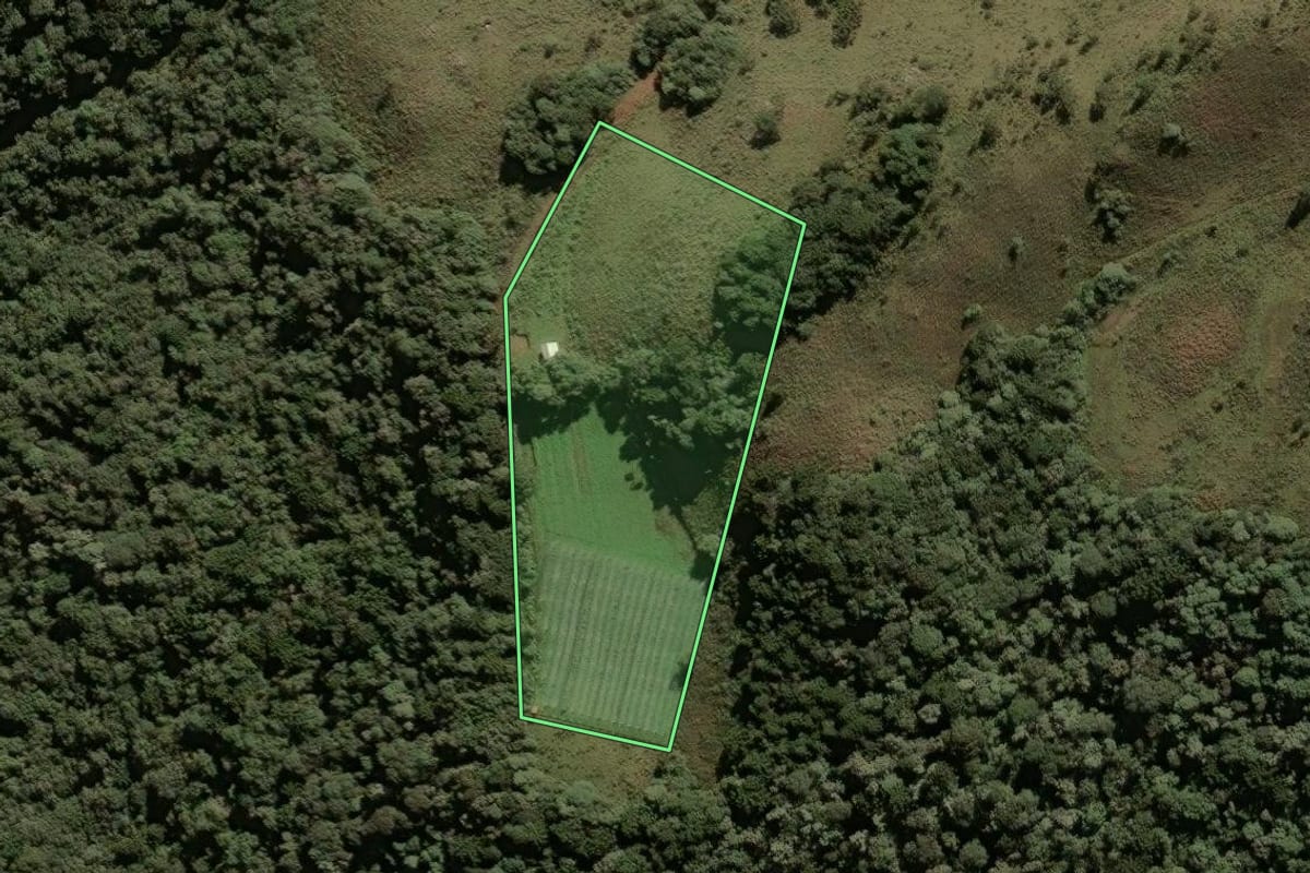 Imagem de satélite do imóvel rural em São Joaquim (SC), com o contorno declarado no CAR desenhado por cima.