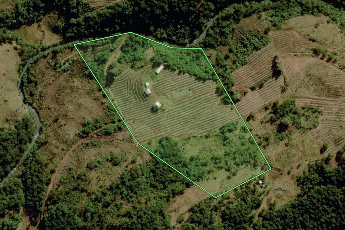 Imagem de satélite do imóvel rural em São Joaquim (SC), com o contorno declarado no CAR desenhado por cima.