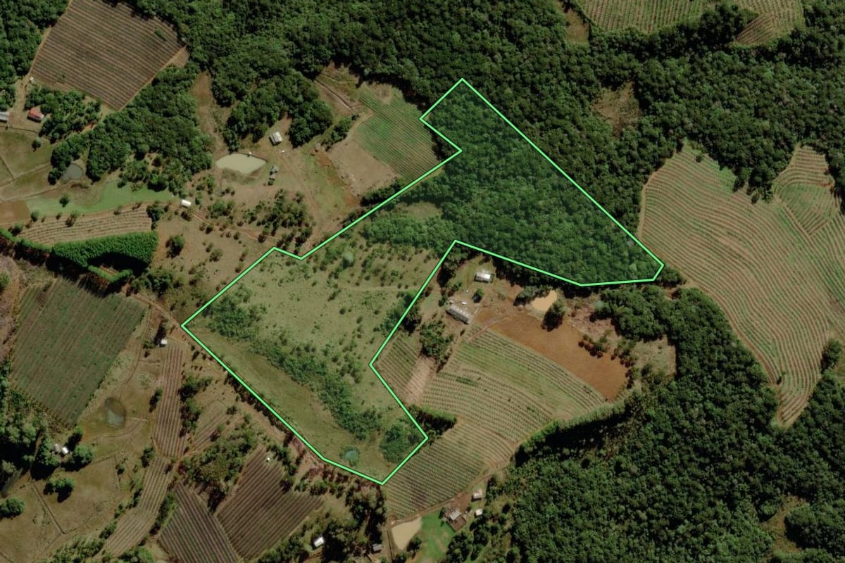 Imagem de satélite do imóvel rural em São Joaquim (SC), com o contorno declarado no CAR desenhado por cima.