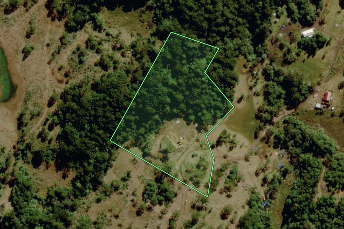 Imagem de satélite do imóvel rural em São Joaquim (SC), com o contorno declarado no CAR desenhado por cima.