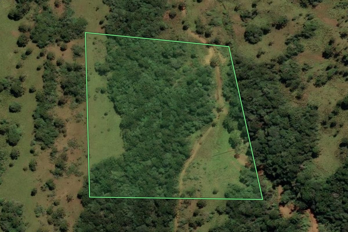 Imagem de satélite do imóvel rural em São Joaquim (SC), com o contorno declarado no CAR desenhado por cima.