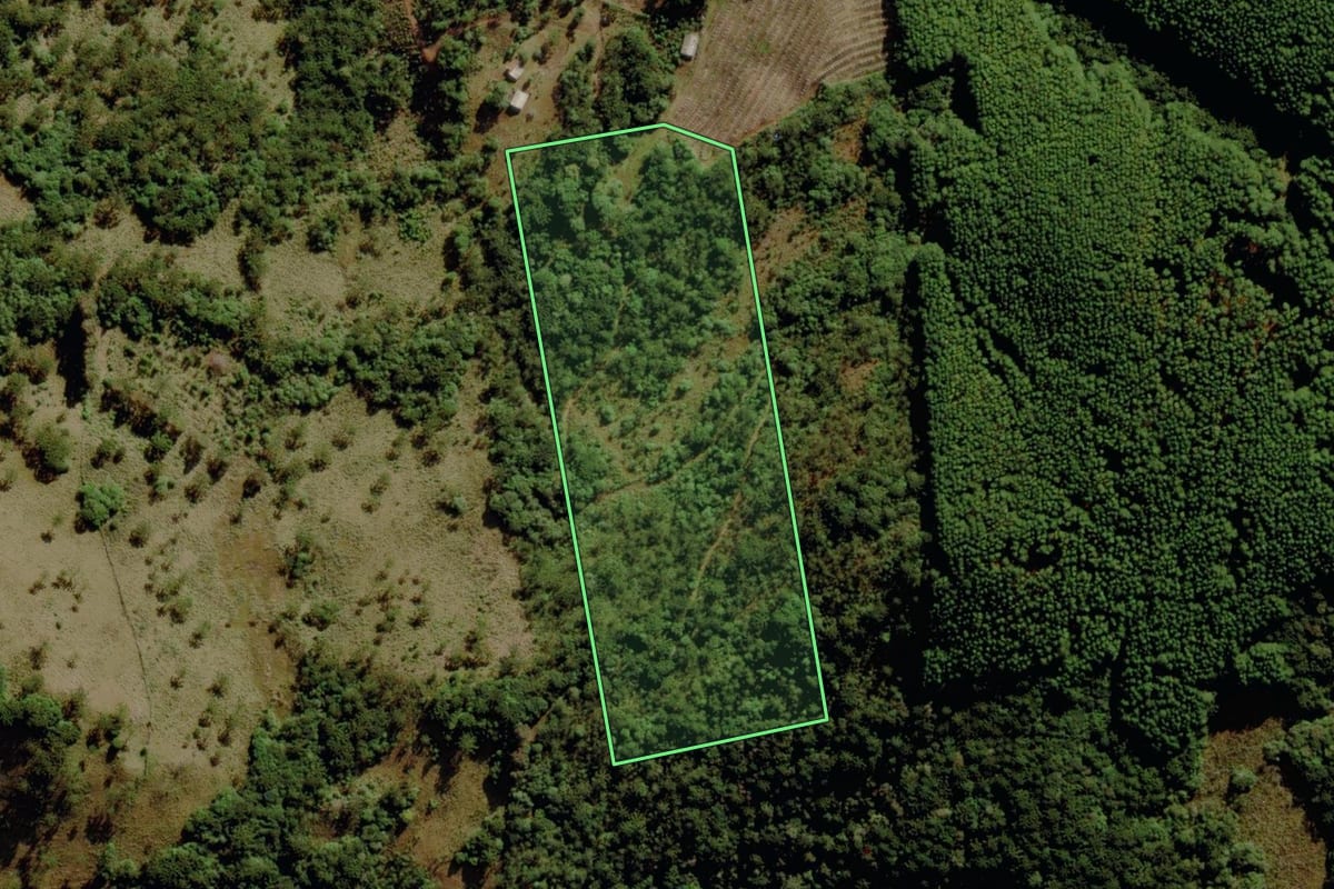 Imagem de satélite do imóvel rural em São Joaquim (SC), com o contorno declarado no CAR desenhado por cima.