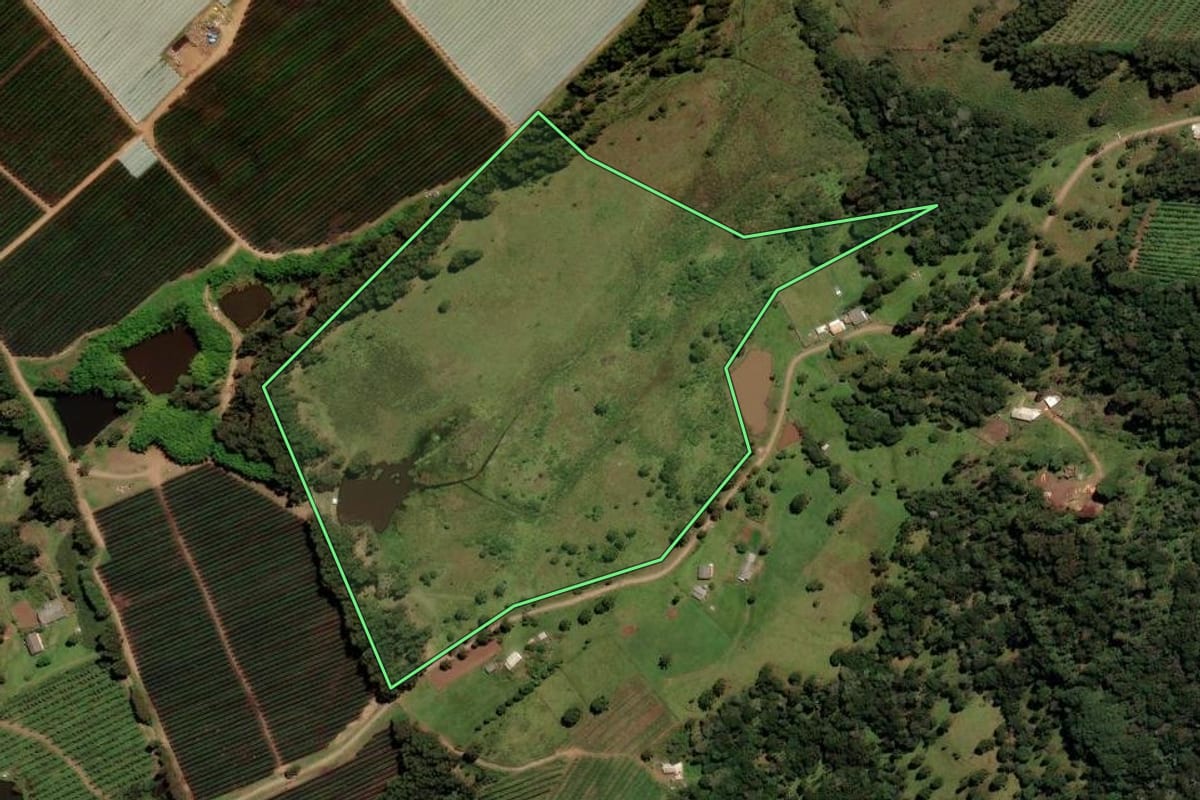 Imagem de satélite do imóvel rural em São Joaquim (SC), com o contorno declarado no CAR desenhado por cima.