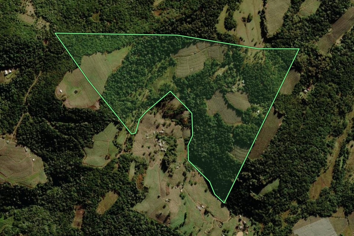 Imagem de satélite do imóvel rural em São Joaquim (SC), com o contorno declarado no CAR desenhado por cima.