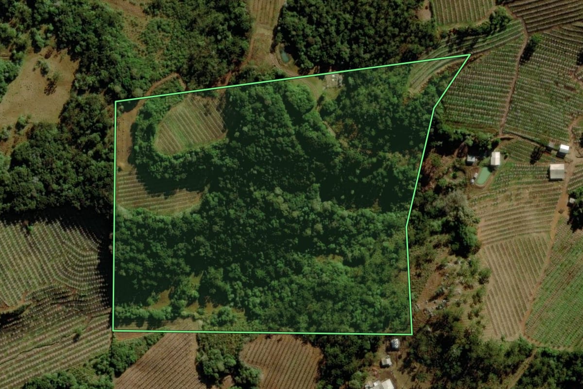 Imagem de satélite do imóvel rural em São Joaquim (SC), com o contorno declarado no CAR desenhado por cima.