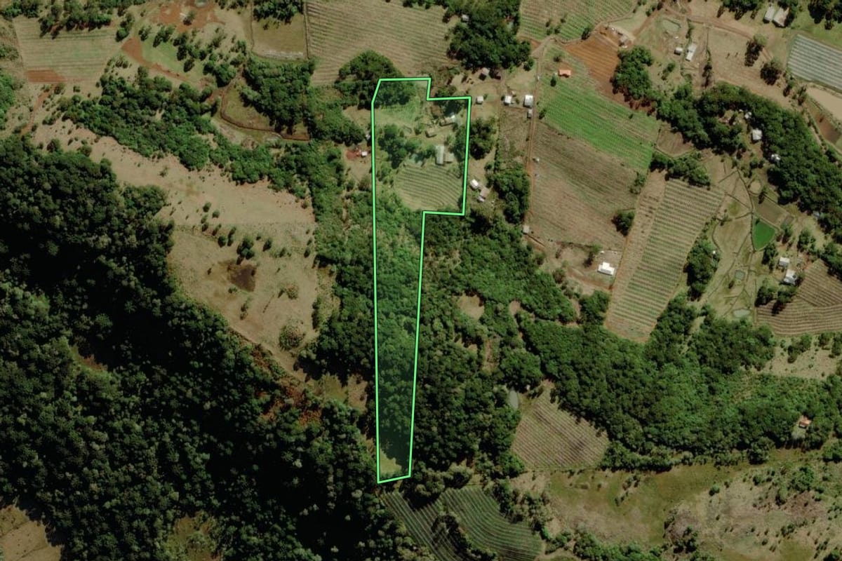 Imagem de satélite do imóvel rural em São Joaquim (SC), com o contorno declarado no CAR desenhado por cima.