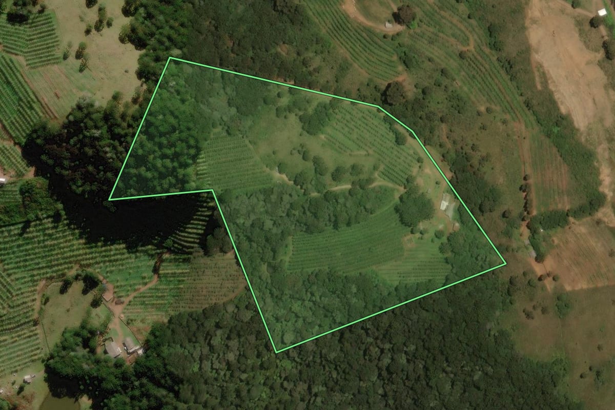Imagem de satélite do imóvel rural em São Joaquim (SC), com o contorno declarado no CAR desenhado por cima.
