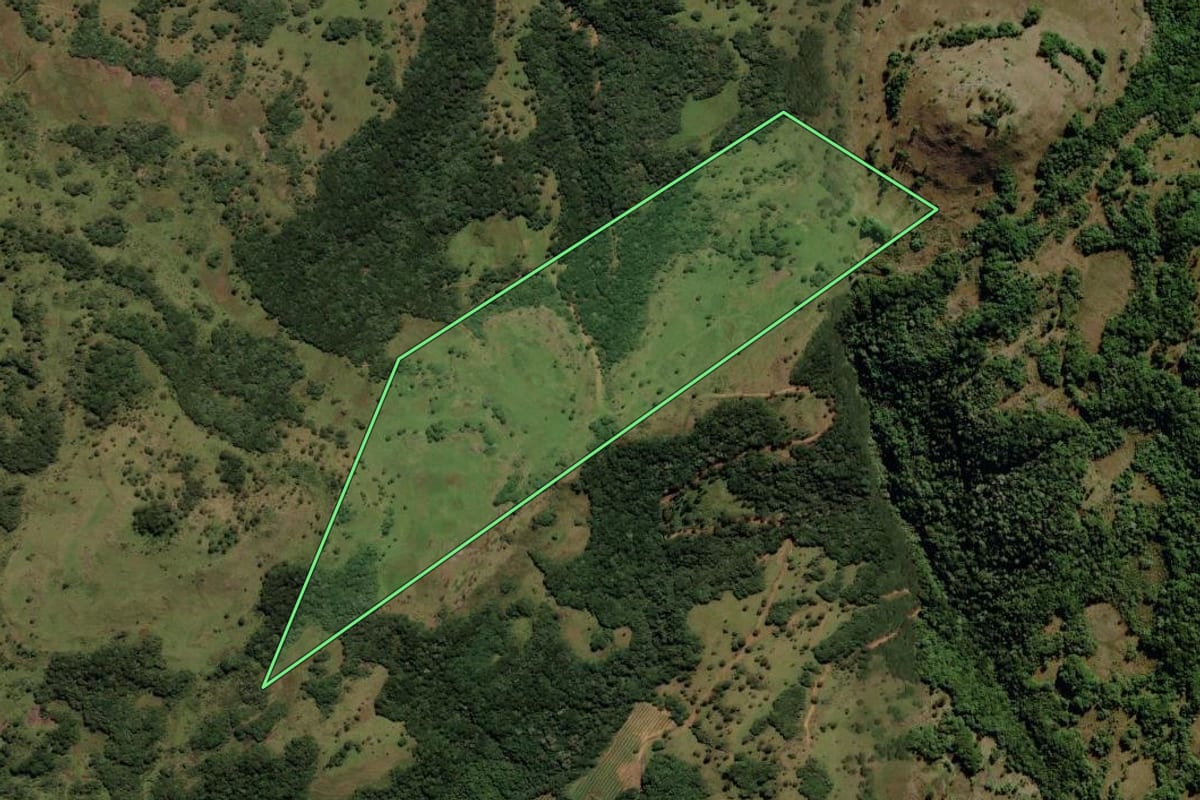 Imagem de satélite do imóvel rural em São Joaquim (SC), com o contorno declarado no CAR desenhado por cima.