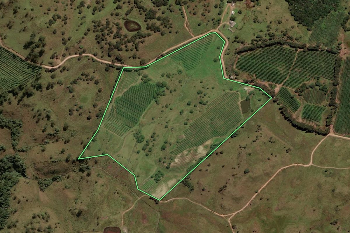 Imagem de satélite do imóvel rural em São Joaquim (SC), com o contorno declarado no CAR desenhado por cima.