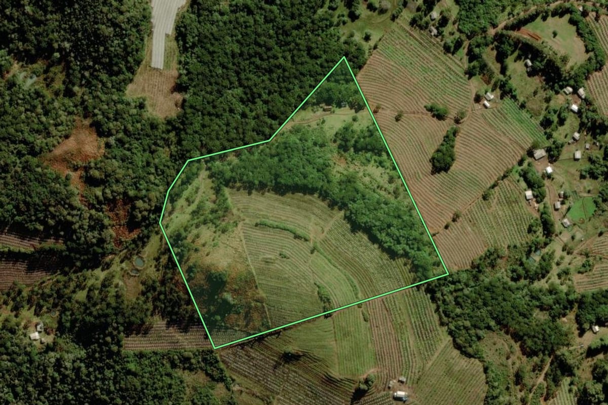 Imagem de satélite do imóvel rural em São Joaquim (SC), com o contorno declarado no CAR desenhado por cima.