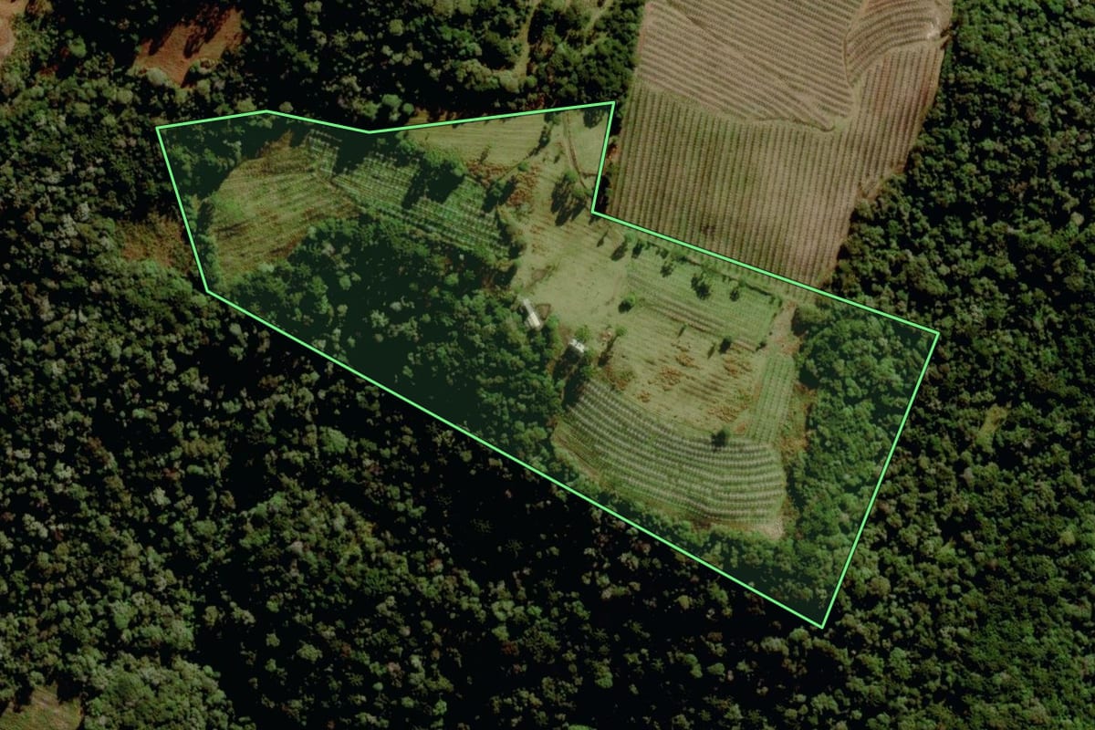 Imagem de satélite do imóvel rural em São Joaquim (SC), com o contorno declarado no CAR desenhado por cima.