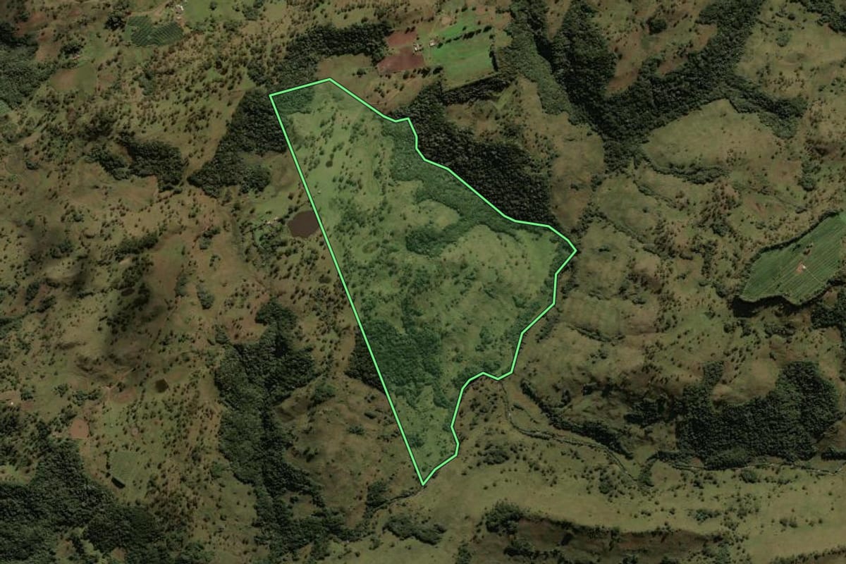 Imagem de satélite do imóvel rural em São Joaquim (SC), com o contorno declarado no CAR desenhado por cima.