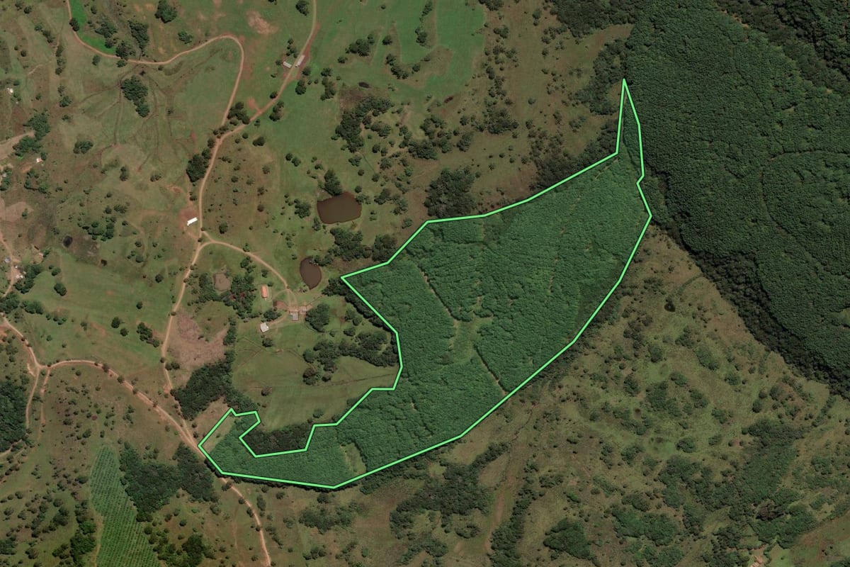 Imagem de satélite do imóvel rural em São Joaquim (SC), com o contorno declarado no CAR desenhado por cima.
