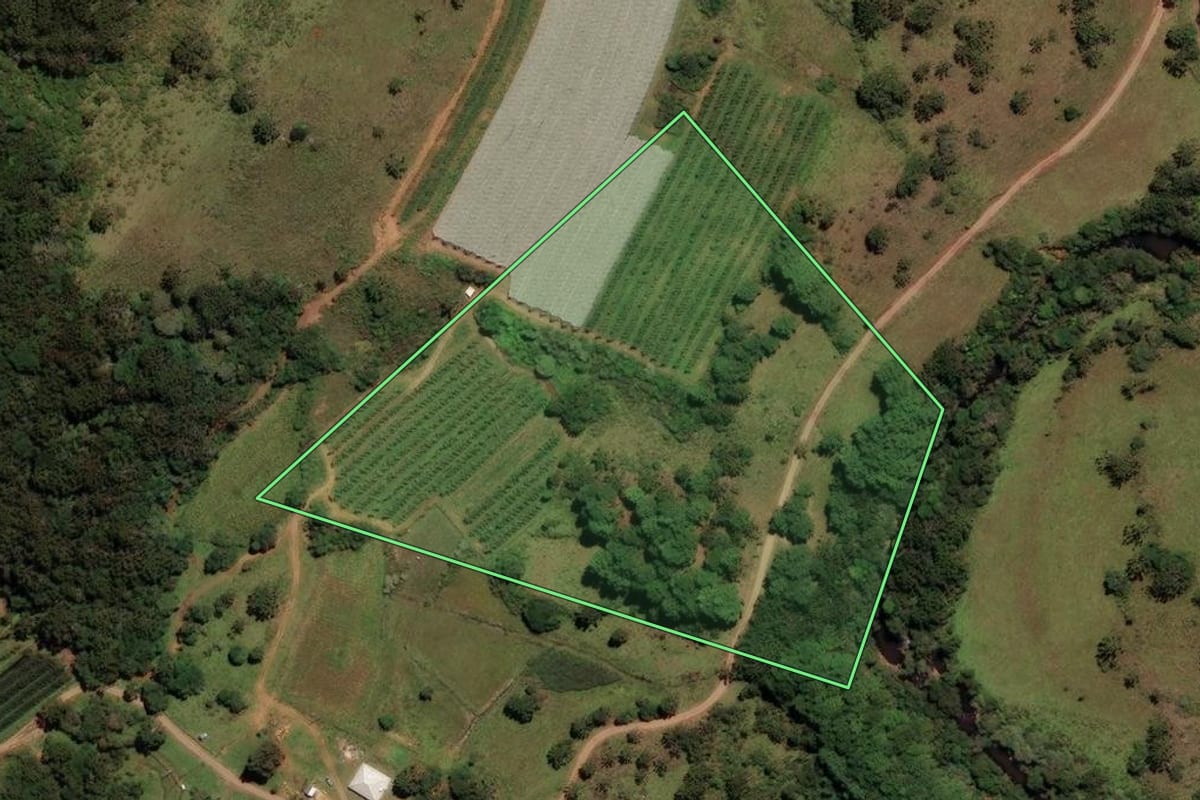 Imagem de satélite do imóvel rural em São Joaquim (SC), com o contorno declarado no CAR desenhado por cima.