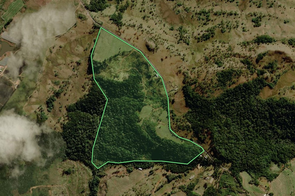 Imagem de satélite do imóvel rural em São Joaquim (SC), com o contorno declarado no CAR desenhado por cima.