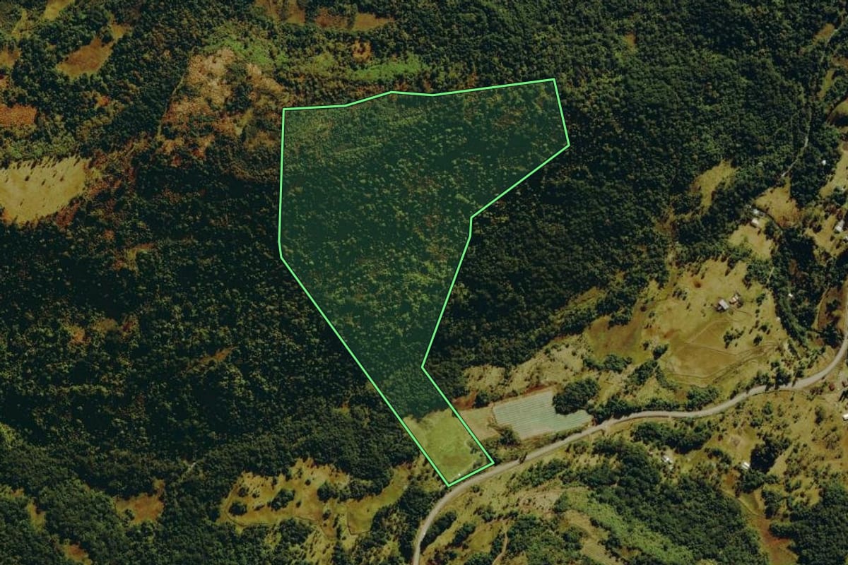 Imagem de satélite do imóvel rural em São Joaquim (SC), com o contorno declarado no CAR desenhado por cima.