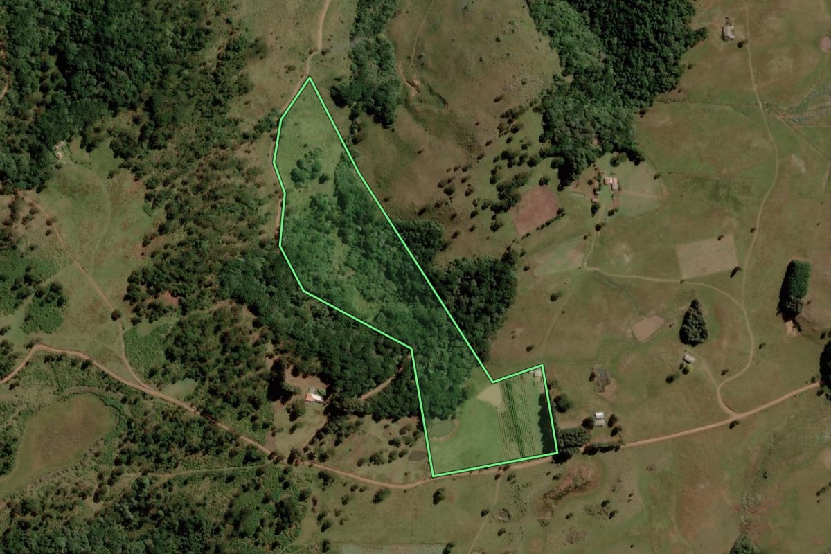 Imagem de satélite do imóvel rural em São Joaquim (SC), com o contorno declarado no CAR desenhado por cima.