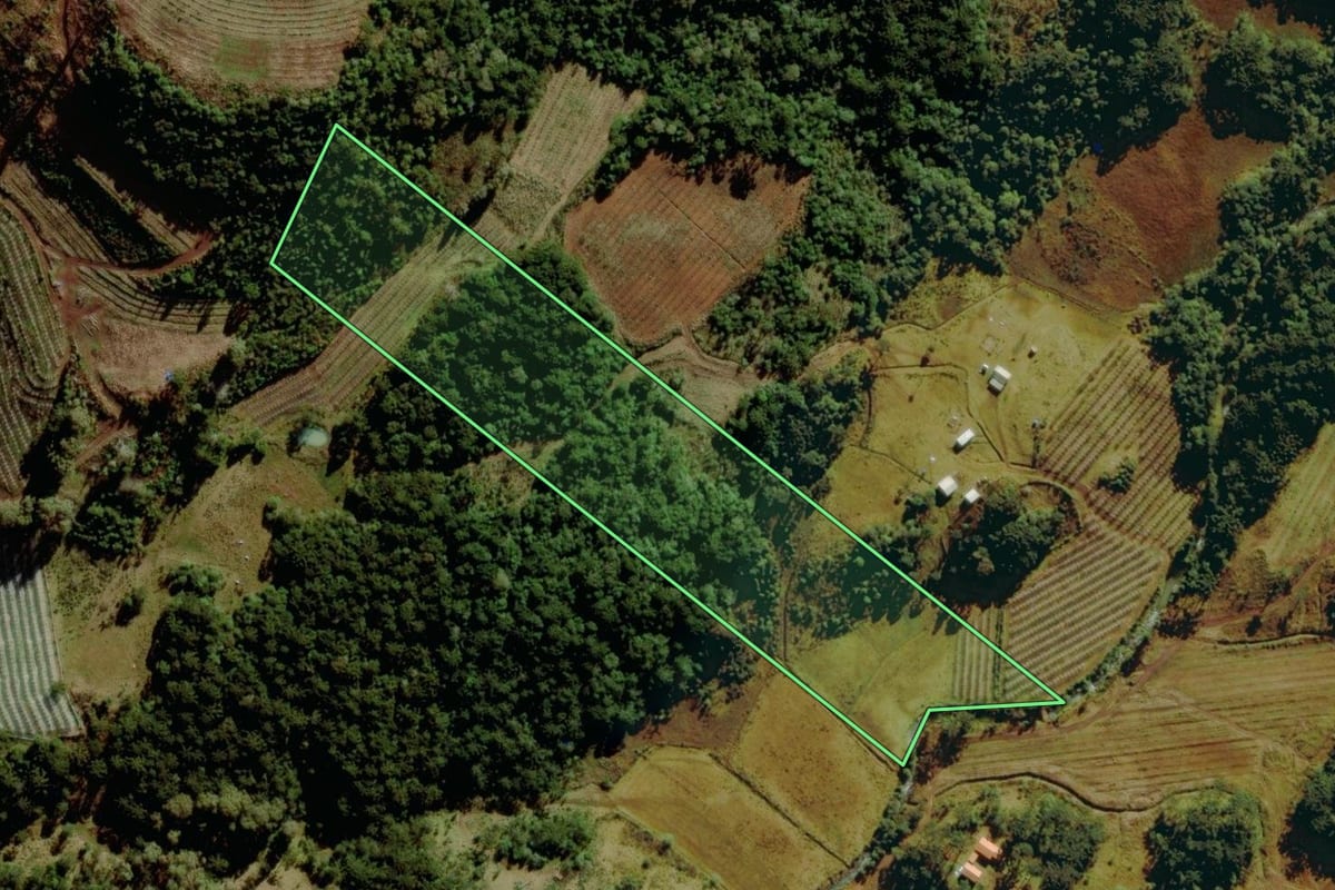 Imagem de satélite do imóvel rural em São Joaquim (SC), com o contorno declarado no CAR desenhado por cima.