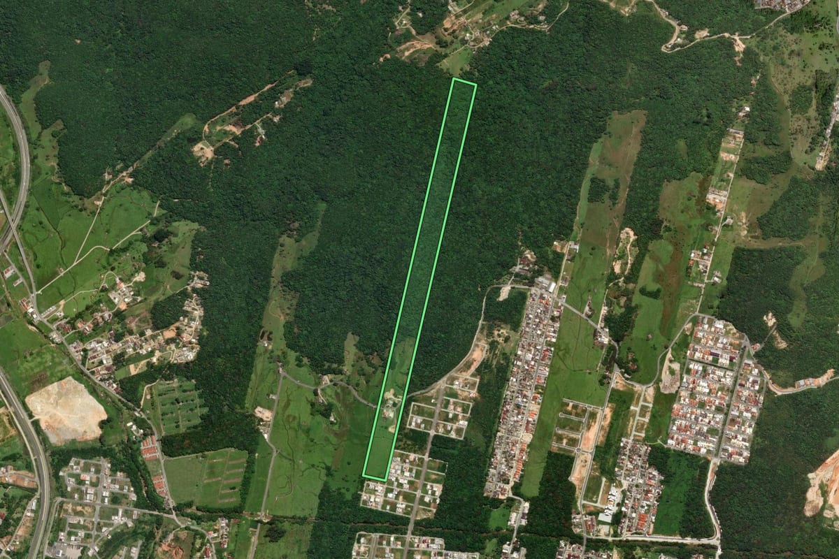 Imagem de satélite do imóvel rural em São José (SC), com o contorno declarado no CAR desenhado por cima.