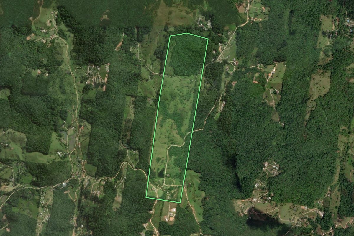 Imagem de satélite do imóvel rural em São José (SC), com o contorno declarado no CAR desenhado por cima.