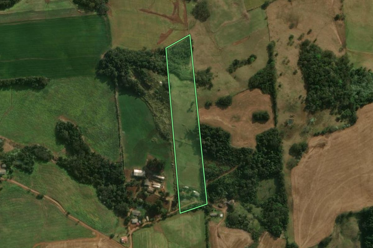 Imagem de satélite do imóvel rural em São José do Cedro (SC), com o contorno declarado no CAR desenhado por cima.