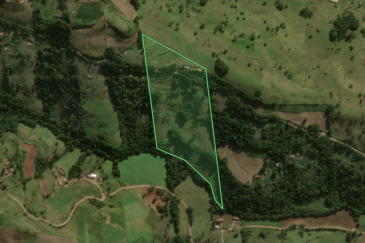 Imagem de satélite do imóvel rural em São José do Cedro (SC), com o contorno declarado no CAR desenhado por cima.