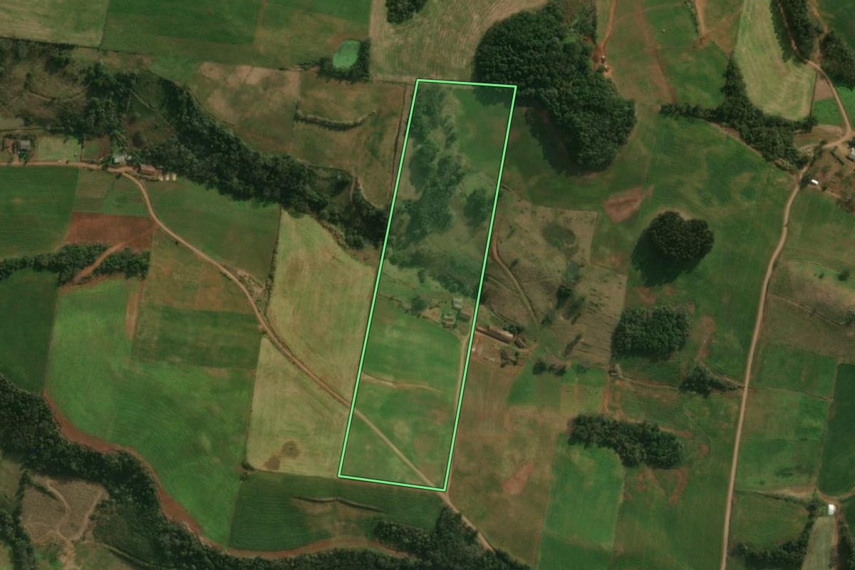 Imagem de satélite do imóvel rural em São José do Cedro (SC), com o contorno declarado no CAR desenhado por cima.