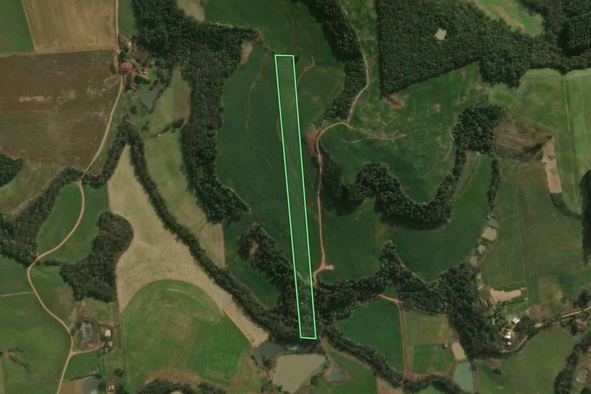 Imagem de satélite do imóvel rural em São José do Cedro (SC), com o contorno declarado no CAR desenhado por cima.