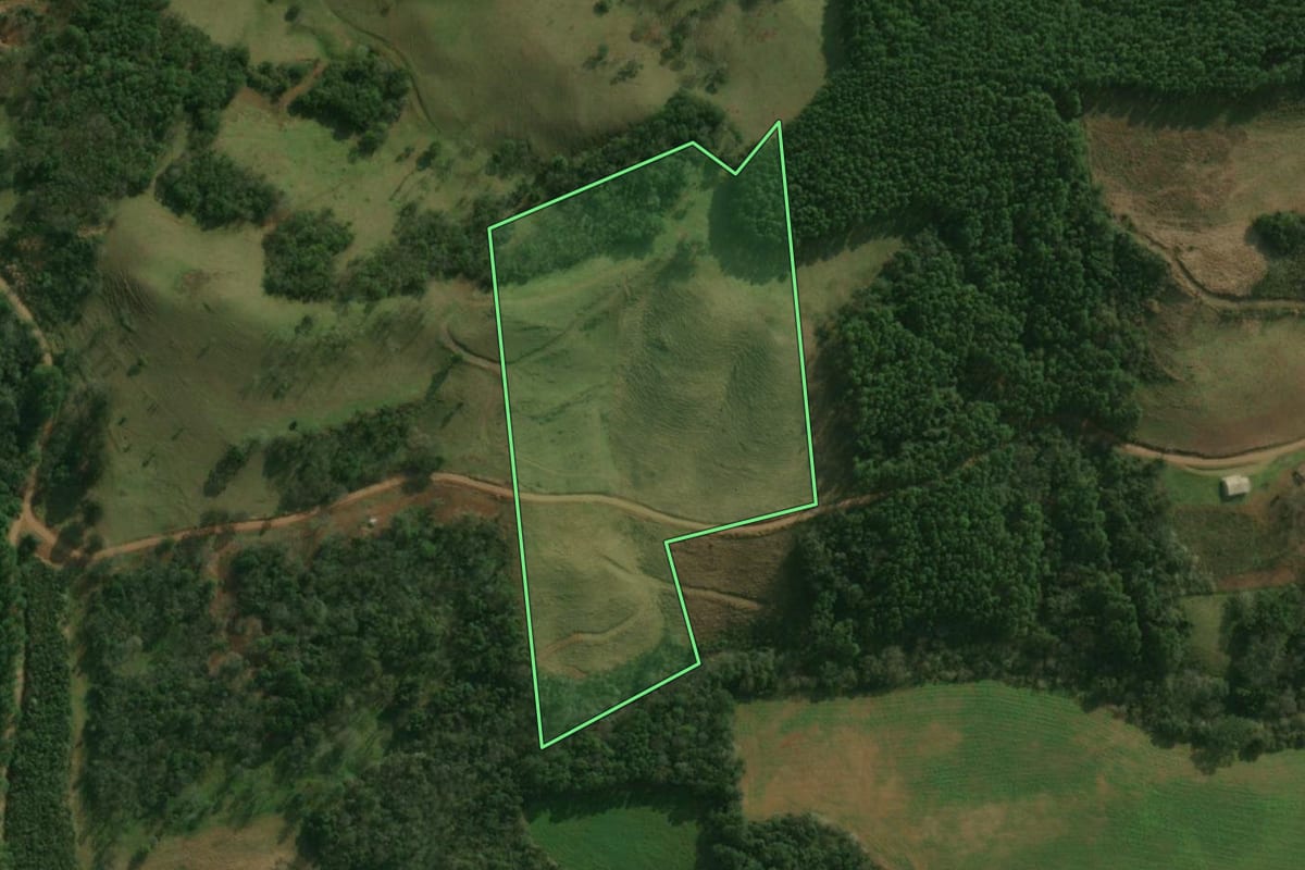 Imagem de satélite do imóvel rural em São José do Cedro (SC), com o contorno declarado no CAR desenhado por cima.
