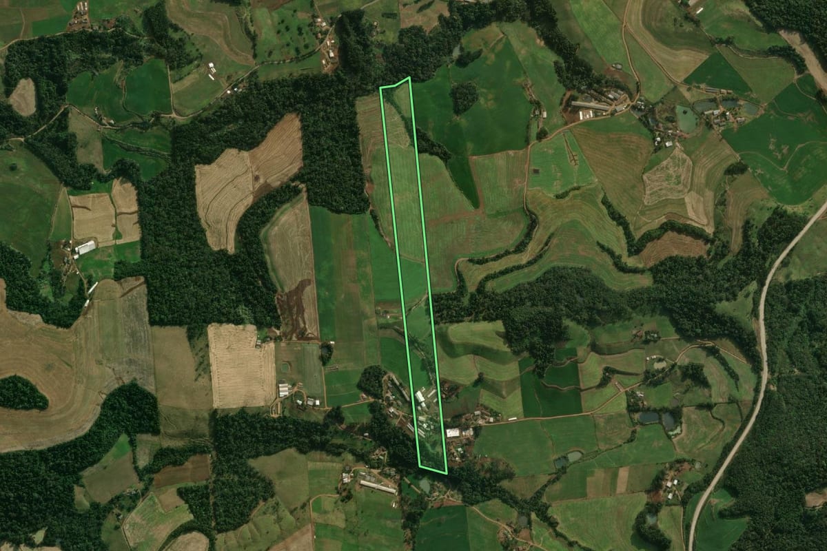 Imagem de satélite do imóvel rural em São José do Cedro (SC), com o contorno declarado no CAR desenhado por cima.