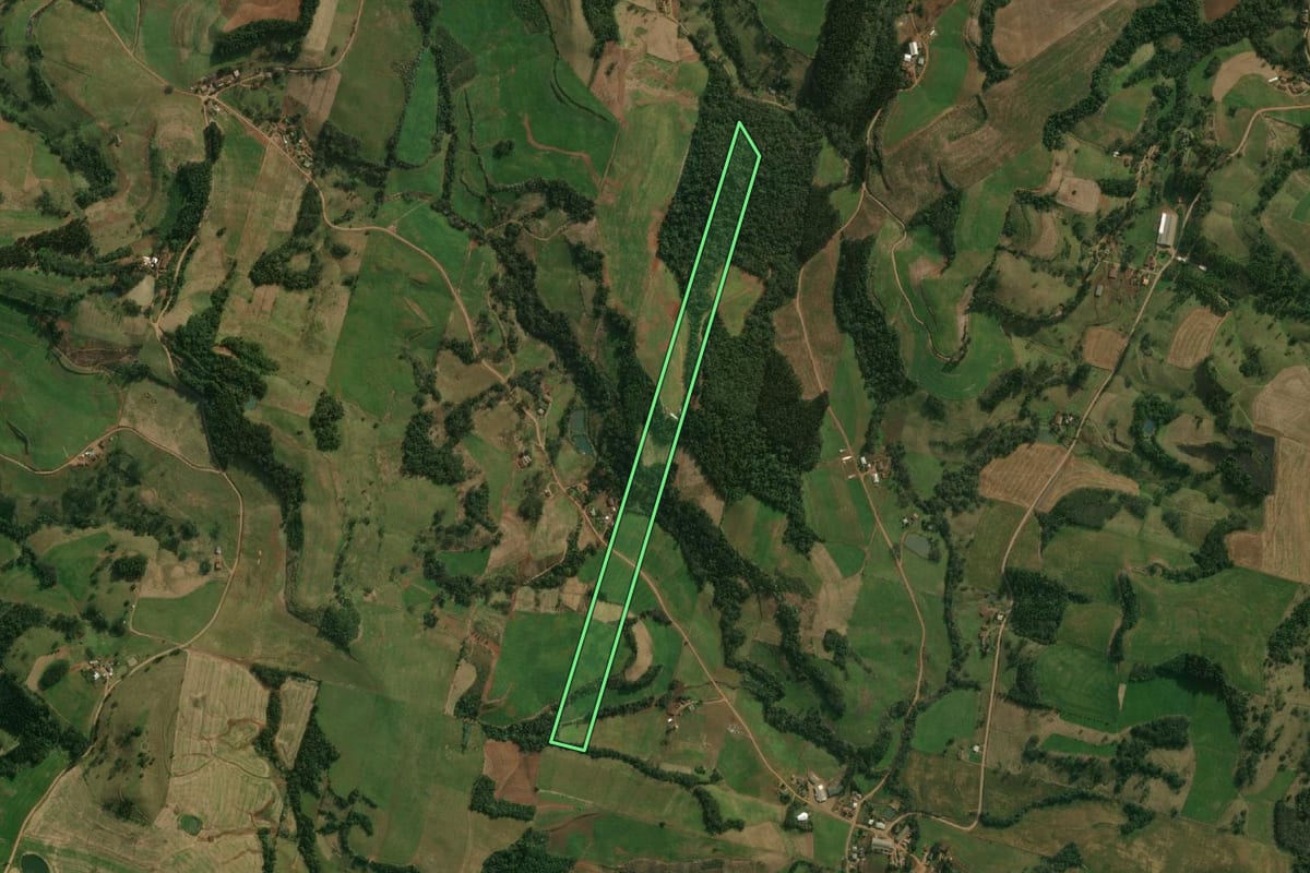 Imagem de satélite do imóvel rural em São José do Cedro (SC), com o contorno declarado no CAR desenhado por cima.