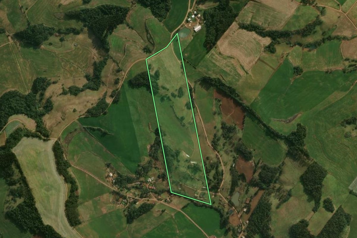 Imagem de satélite do imóvel rural em São José do Cedro (SC), com o contorno declarado no CAR desenhado por cima.