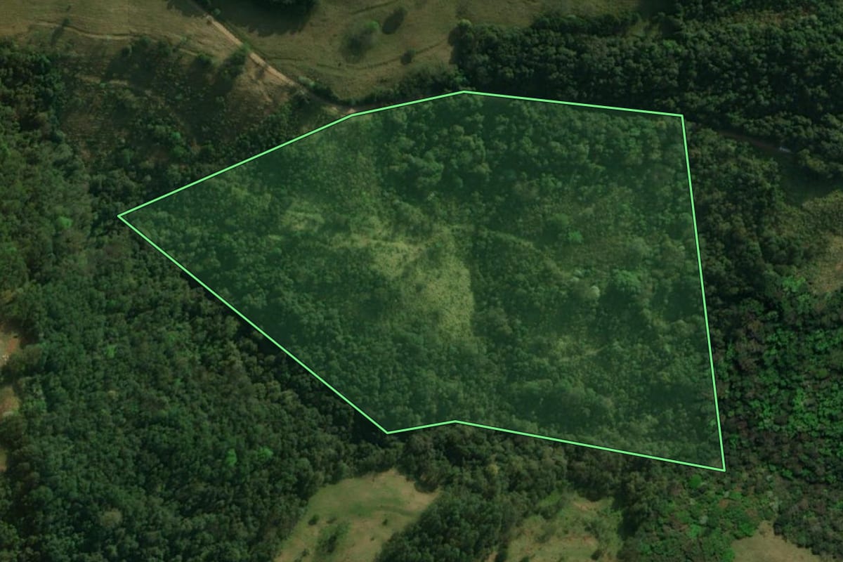 Imagem de satélite do imóvel rural em São José do Cedro (SC), com o contorno declarado no CAR desenhado por cima.
