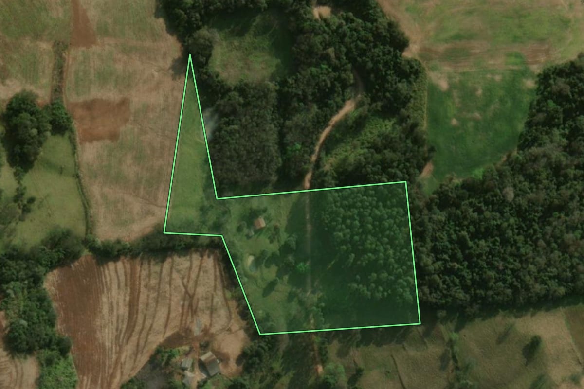 Imagem de satélite do imóvel rural em São José do Cedro (SC), com o contorno declarado no CAR desenhado por cima.