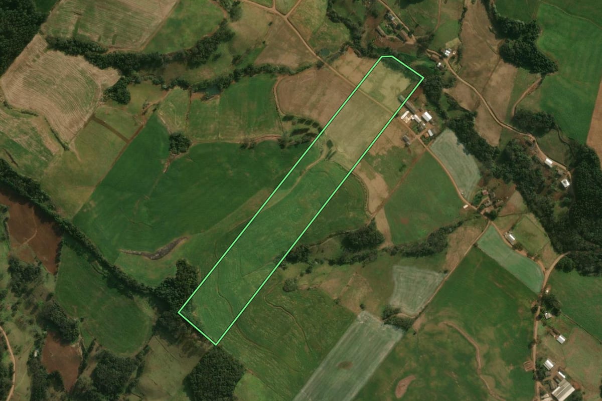 Imagem de satélite do imóvel rural em São José do Cedro (SC), com o contorno declarado no CAR desenhado por cima.