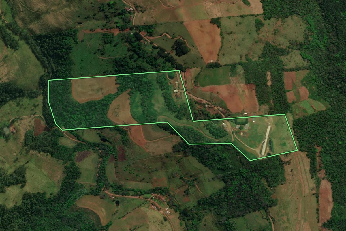 Imagem de satélite do imóvel rural em São José do Cedro (SC), com o contorno declarado no CAR desenhado por cima.