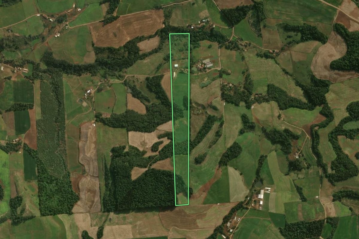 Imagem de satélite do imóvel rural em São José do Cedro (SC), com o contorno declarado no CAR desenhado por cima.