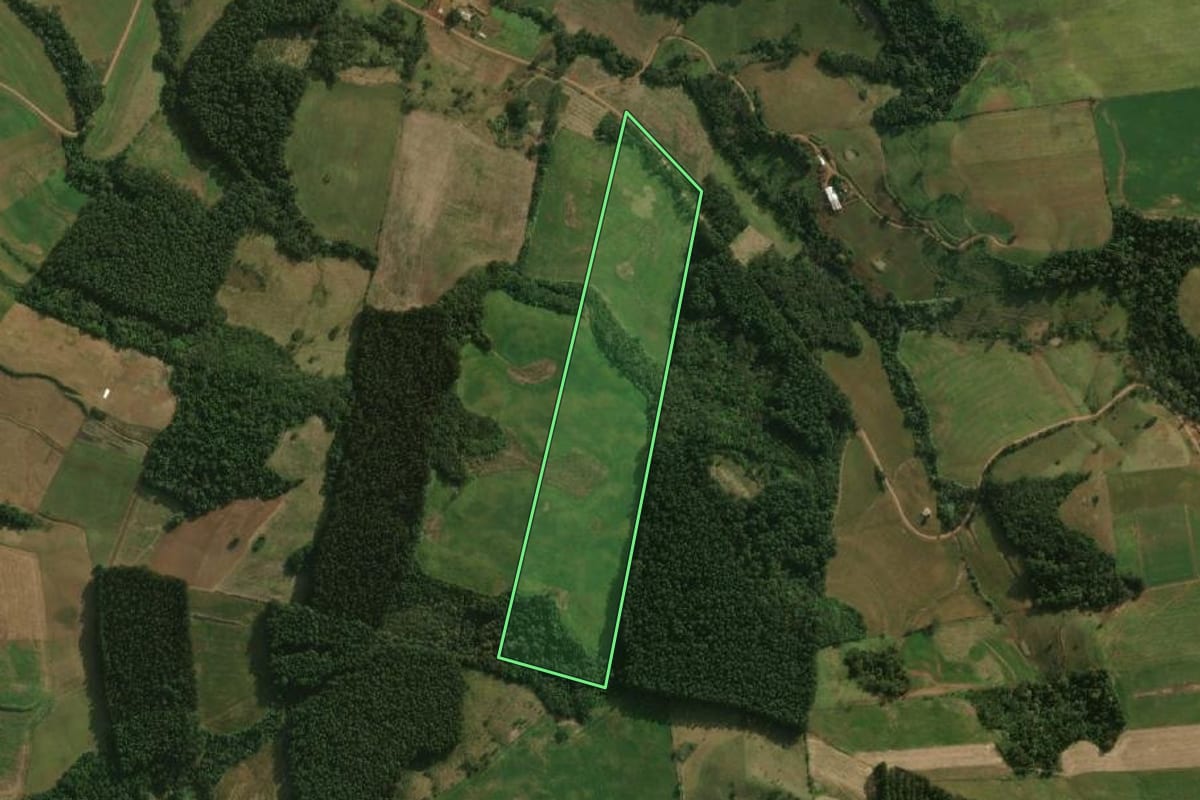Imagem de satélite do imóvel rural em São José do Cedro (SC), com o contorno declarado no CAR desenhado por cima.
