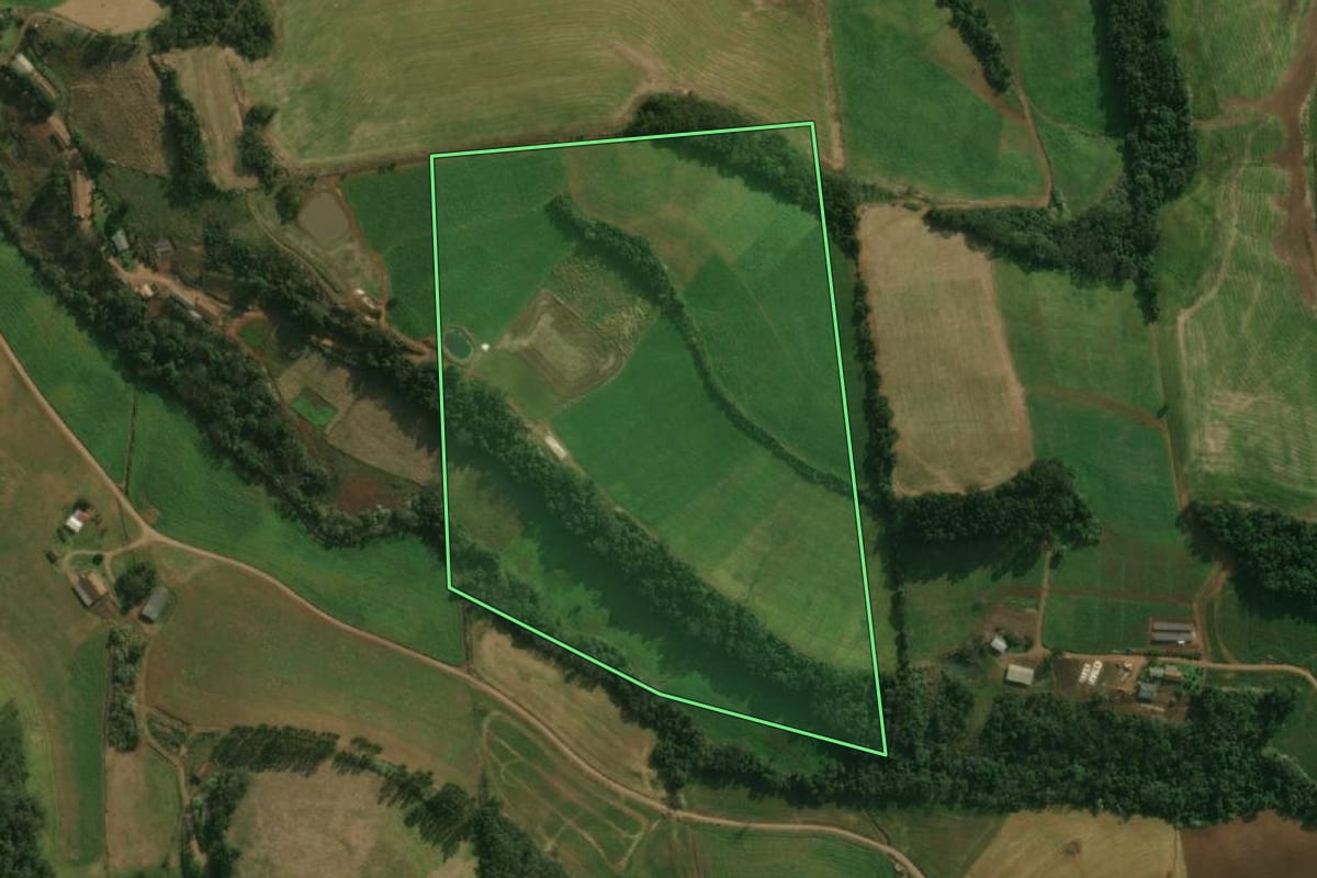 Imagem de satélite do imóvel rural em São José do Cedro (SC), com o contorno declarado no CAR desenhado por cima.