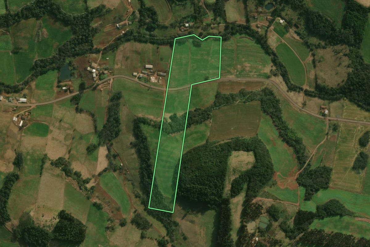 Imagem de satélite do imóvel rural em São José do Cedro (SC), com o contorno declarado no CAR desenhado por cima.