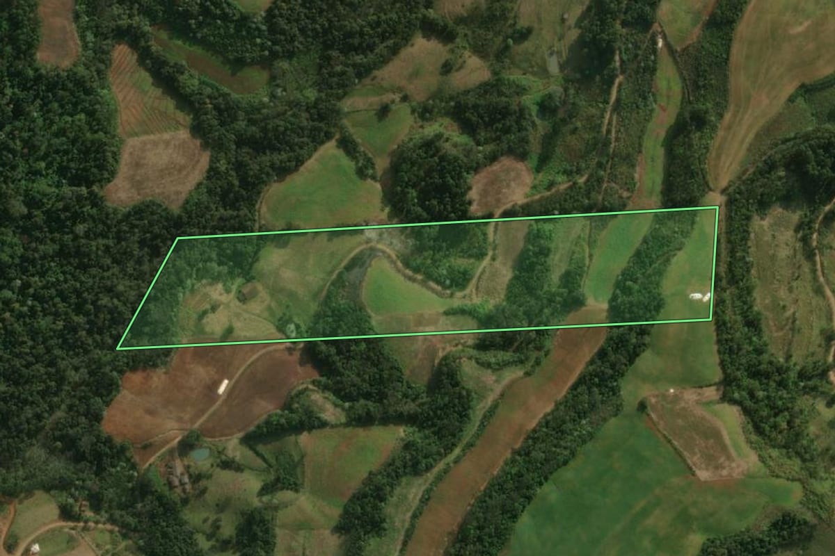 Imagem de satélite do imóvel rural em São José do Cedro (SC), com o contorno declarado no CAR desenhado por cima.