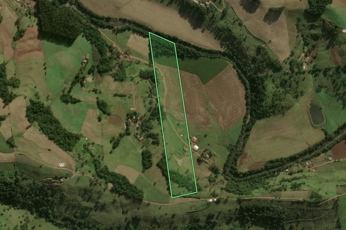 Imagem de satélite do imóvel rural em São José do Cedro (SC), com o contorno declarado no CAR desenhado por cima.