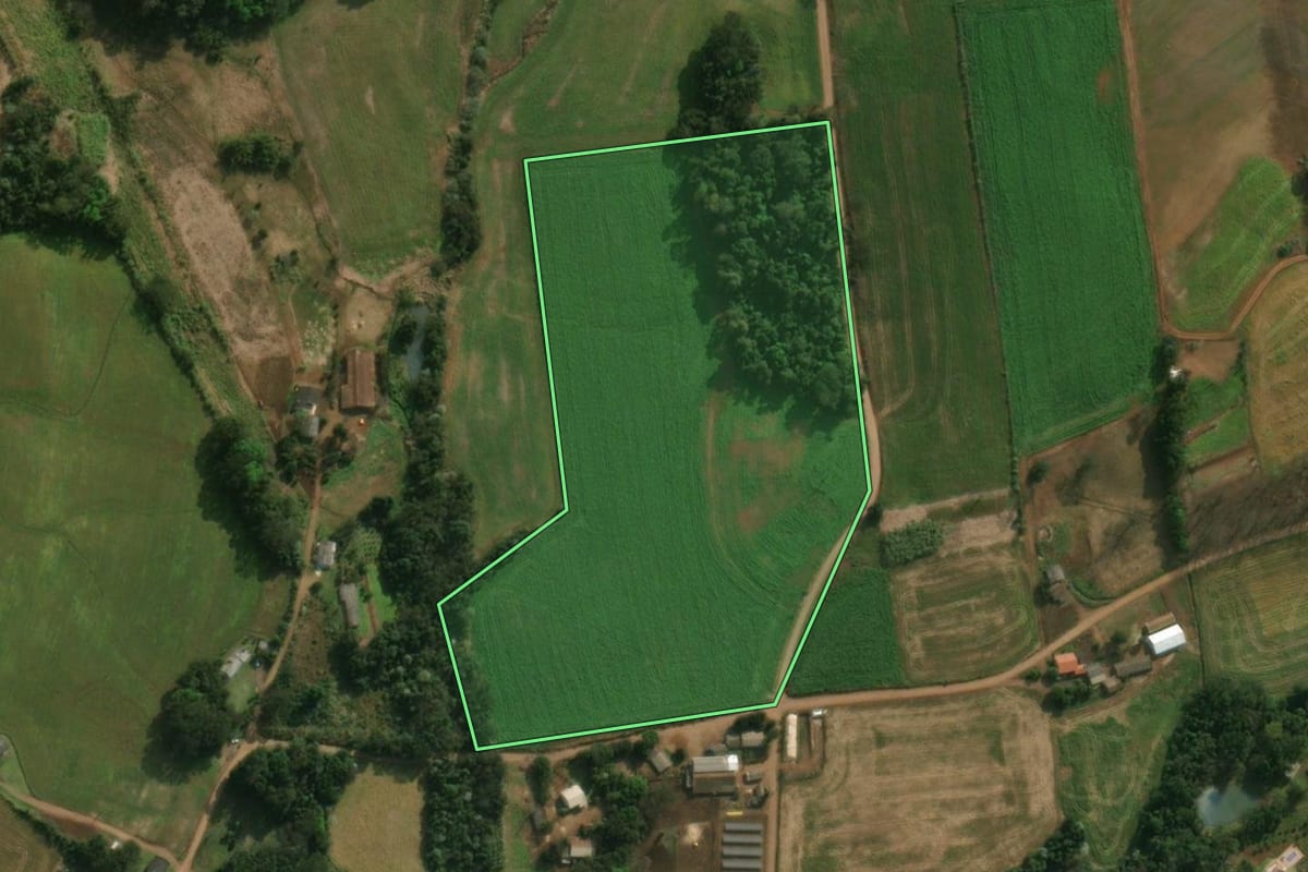 Imagem de satélite do imóvel rural em São José do Cedro (SC), com o contorno declarado no CAR desenhado por cima.