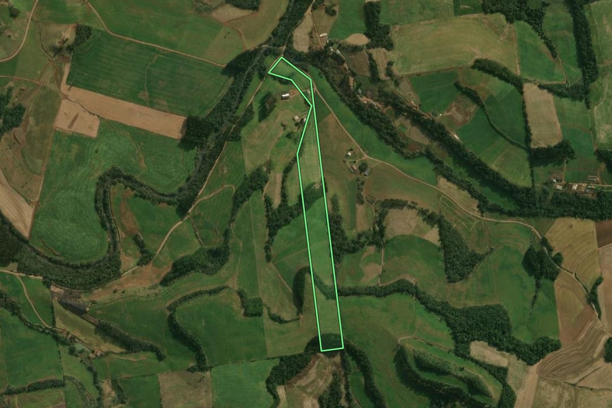 Imagem de satélite do imóvel rural em São José do Cedro (SC), com o contorno declarado no CAR desenhado por cima.