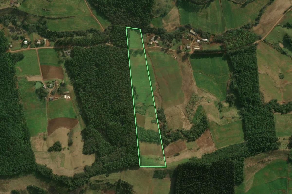 Imagem de satélite do imóvel rural em São José do Cedro (SC), com o contorno declarado no CAR desenhado por cima.